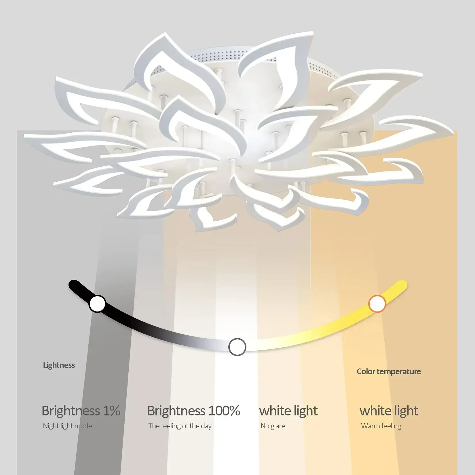 Desainer LED kelopak lampu gan - Interior Design Living Room And Kitchen ulasan dan harga
